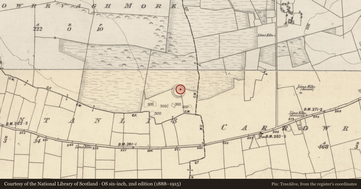 Ordnance Survey six-inch map, 2nd edition (1888–1915) covering the location of Ringfort - rath, Carrowrevagh More, County Galway, with a pin at the register's coordinates