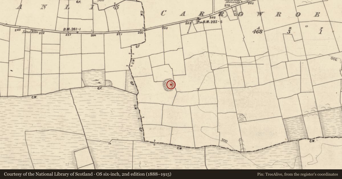 Ordnance Survey six-inch map, 2nd edition (1888–1915) covering the location of Ringfort - rath, Carrowroe West, County Galway, with a pin at the register's coordinates