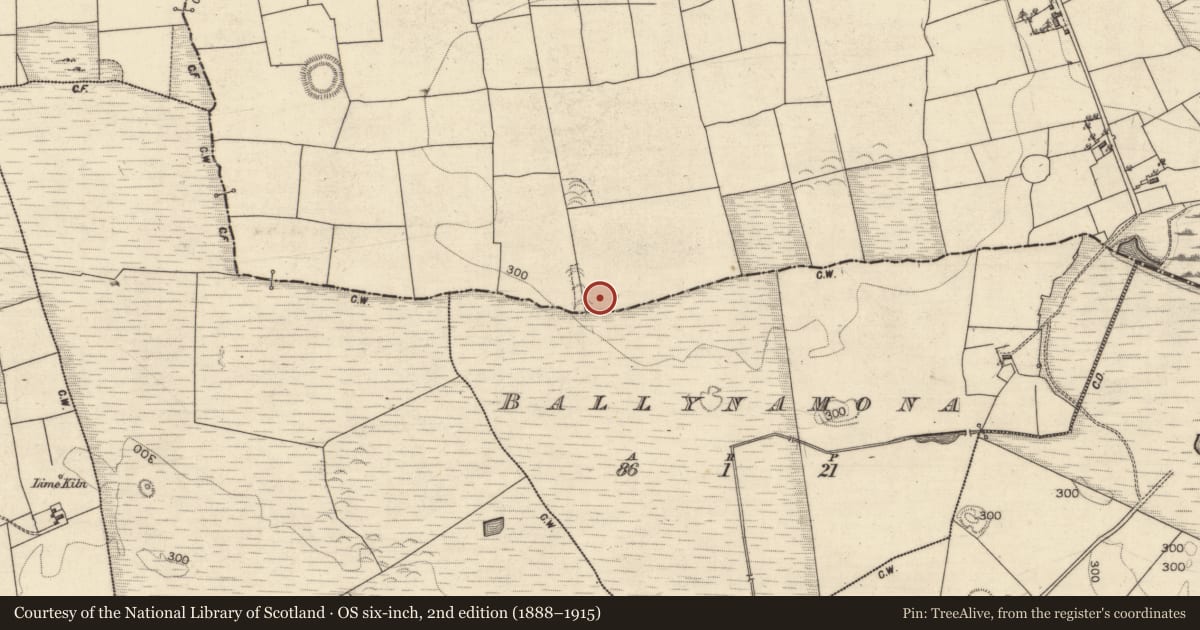 Ordnance Survey six-inch map, 2nd edition (1888–1915) covering the location of Ringfort - rath, Carrowroe West, County Galway, with a pin at the register's coordinates