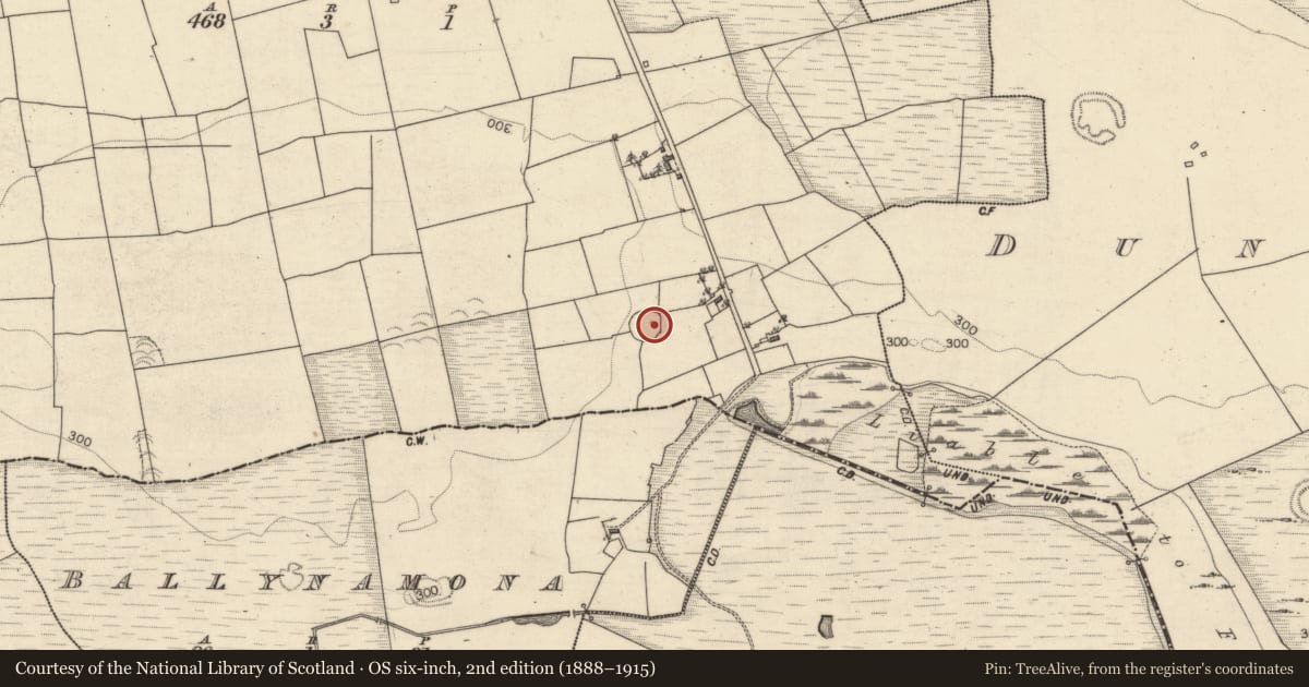 Ordnance Survey six-inch map, 2nd edition (1888–1915) covering the location of Ringfort - rath, Carrowroe West, County Galway, with a pin at the register's coordinates