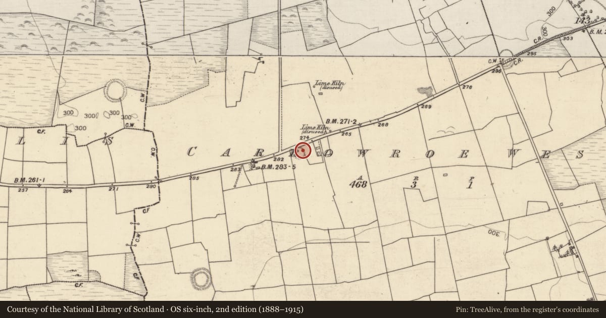 Ordnance Survey six-inch map, 2nd edition (1888–1915) covering the location of Ringfort - rath, Carrowroe West, County Galway, with a pin at the register's coordinates
