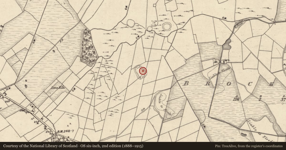 Ordnance Survey six-inch map, 2nd edition (1888–1915) covering the location of Enclosure, Cartron (Carrowrevagh ED ), County Galway, with a pin at the register's coordinates