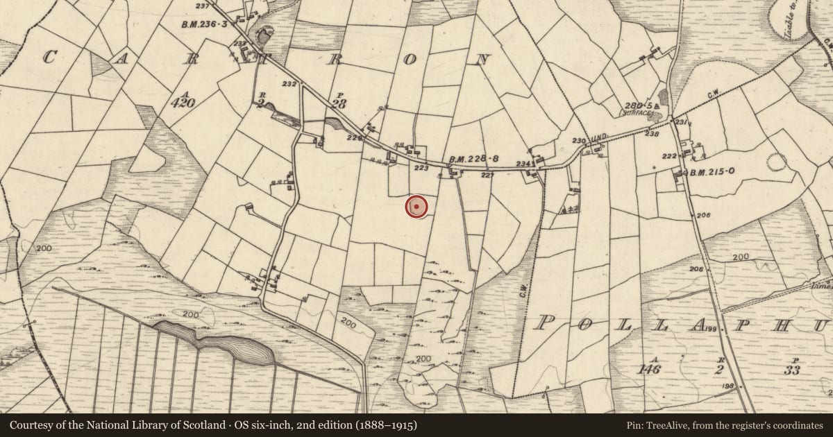 Ordnance Survey six-inch map, 2nd edition (1888–1915) covering the location of Ringfort - rath, Cartron (Carrowrevagh ED ), County Galway, with a pin at the register's coordinates