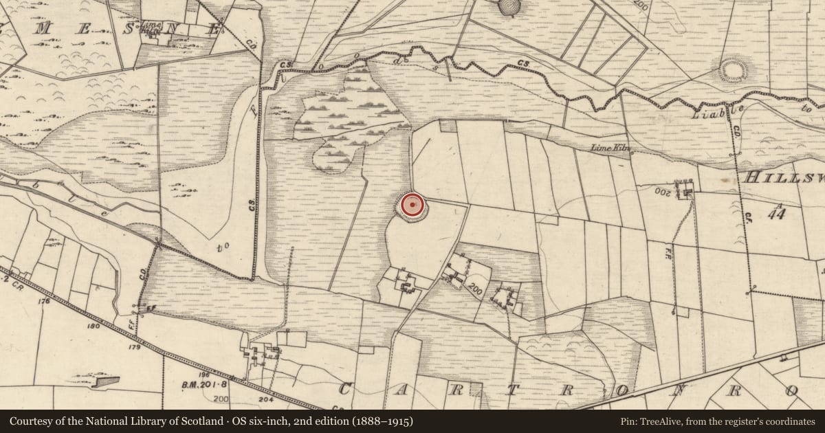 Ordnance Survey six-inch map, 2nd edition (1888–1915) covering the location of Ringfort - rath, Cartronroe, County Galway, with a pin at the register's coordinates