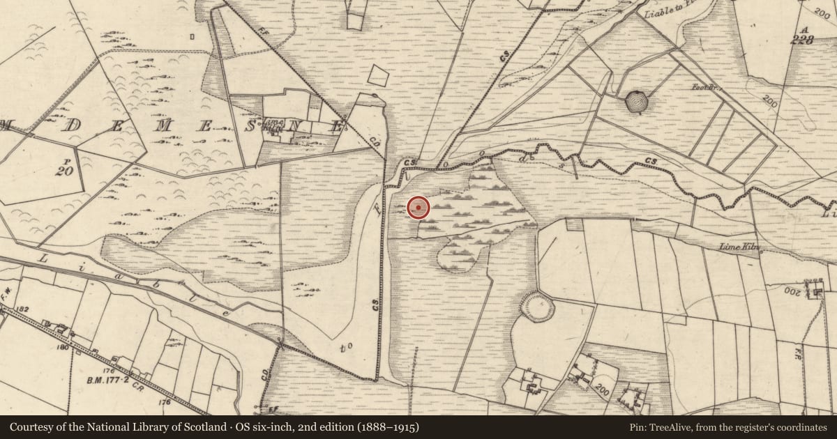 Ordnance Survey six-inch map, 2nd edition (1888–1915) covering the location of Crannog, Cartronroe, County Galway, with a pin at the register's coordinates