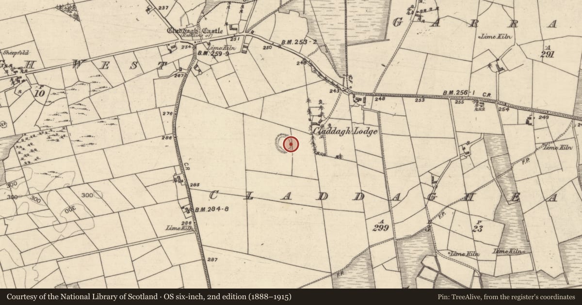 Ordnance Survey six-inch map, 2nd edition (1888–1915) covering the location of Ringfort - rath, Claddagh East, County Galway, with a pin at the register's coordinates