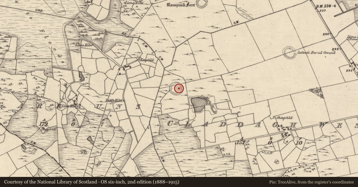 Ordnance Survey six-inch map, 2nd edition (1888–1915) covering the location of Ringfort - rath, Claddagh West, County Galway, with a pin at the register's coordinates