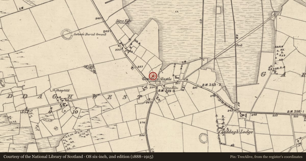 Ordnance Survey six-inch map, 2nd edition (1888–1915) covering the location of Castle - tower house, Claddagh West, County Galway, with a pin at the register's coordinates