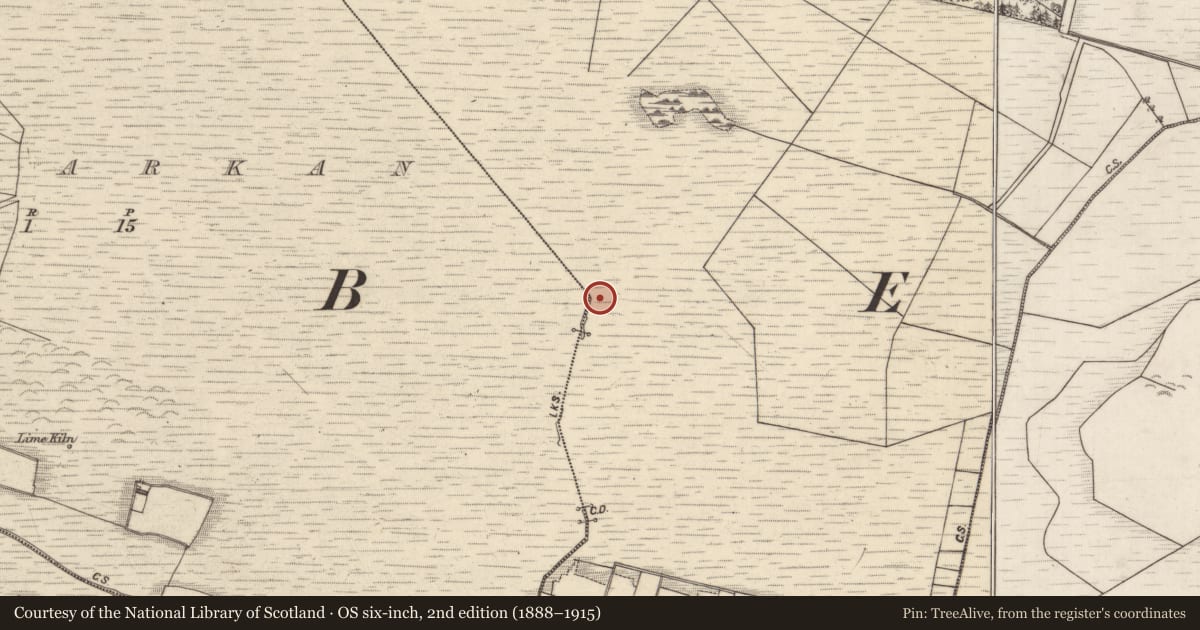 Ordnance Survey six-inch map, 2nd edition (1888–1915) covering the location of Boundary mound, Clonbern, Cloonarkan, County Galway, with a pin at the register's coordinates