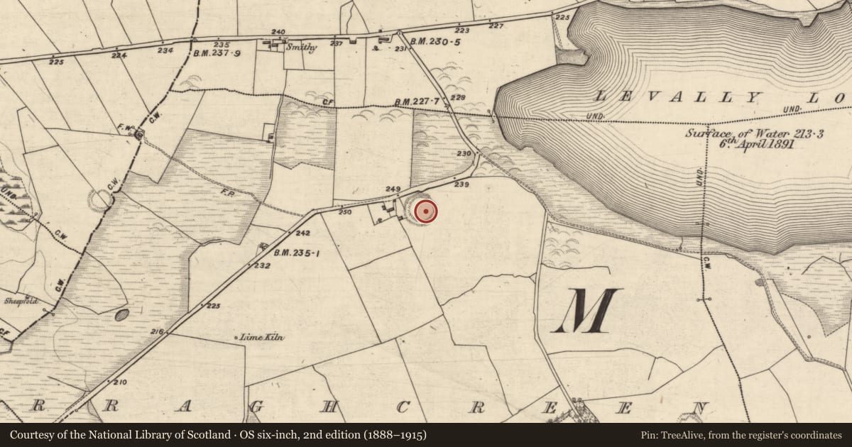Ordnance Survey six-inch map, 2nd edition (1888–1915) covering the location of Ringfort - rath, Curraghcreen, County Galway, with a pin at the register's coordinates