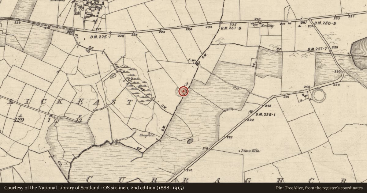 Ordnance Survey six-inch map, 2nd edition (1888–1915) covering the location of Ringfort - rath, Curraghcreen, Ryehill, County Galway, with a pin at the register's coordinates