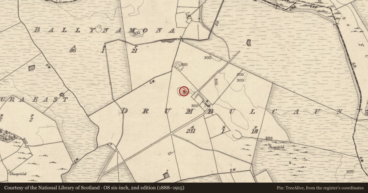 Ordnance Survey six-inch map, 2nd edition (1888–1915) covering the location of Ringfort - cashel, Drumbulcaun, County Galway, with a pin at the register's coordinates