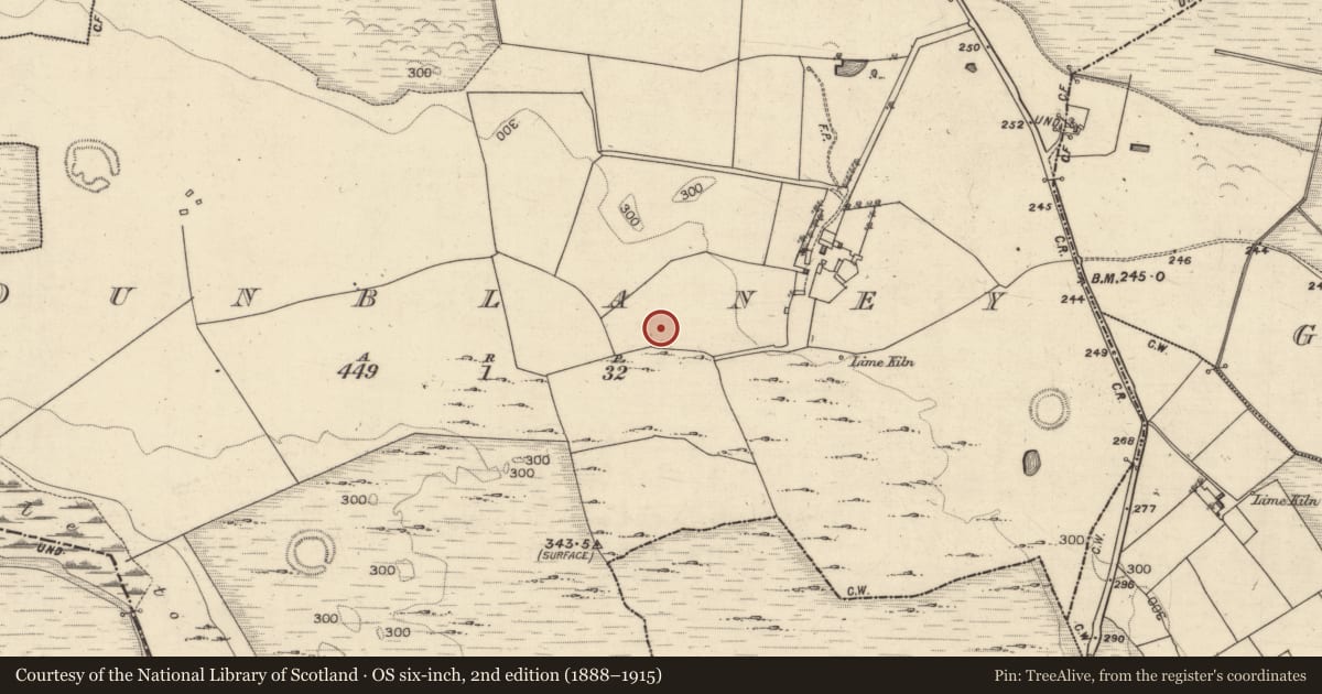 Ordnance Survey six-inch map, 2nd edition (1888–1915) covering the location of Ringfort - rath, Dunblaney, County Galway, with a pin at the register's coordinates