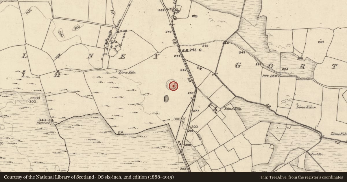 Ordnance Survey six-inch map, 2nd edition (1888–1915) covering the location of Ringfort - rath, Dunblaney, County Galway, with a pin at the register's coordinates