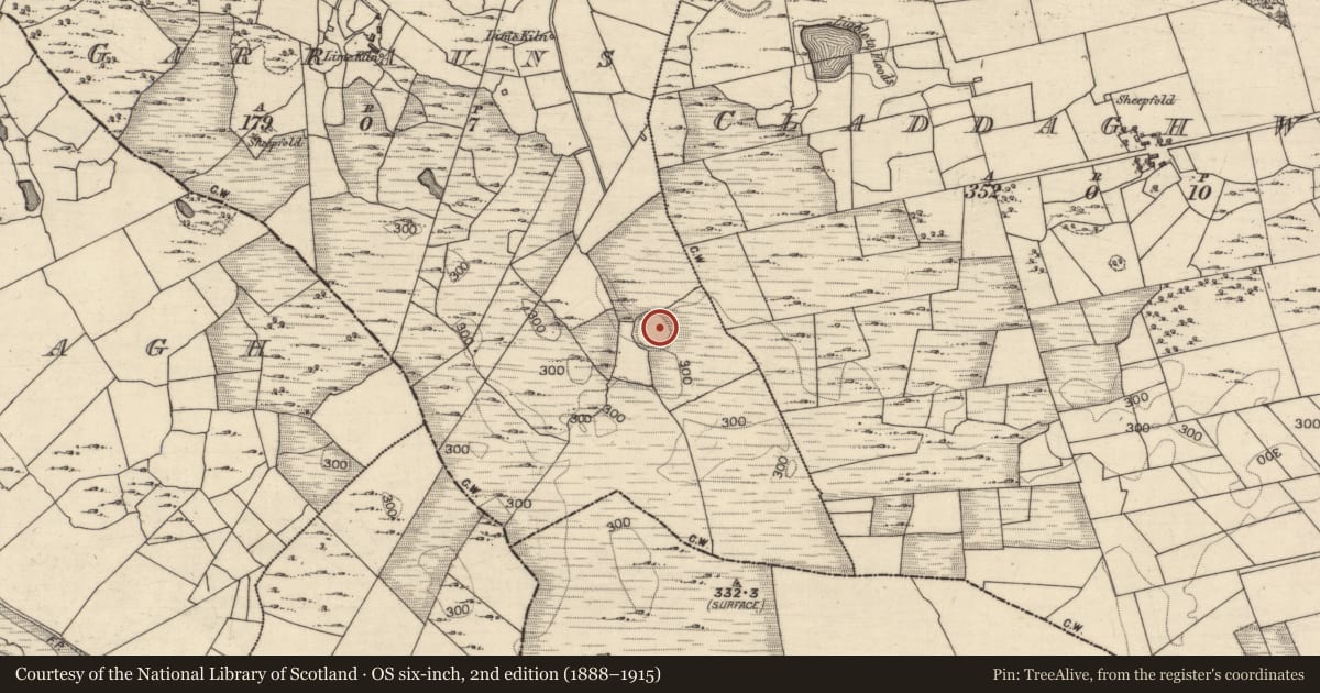 Ordnance Survey six-inch map, 2nd edition (1888–1915) covering the location of Ringfort - rath, Garrauns, County Galway, with a pin at the register's coordinates