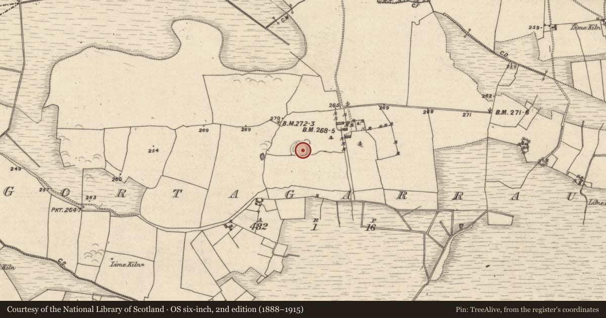 Ordnance Survey six-inch map, 2nd edition (1888–1915) covering the location of Ringfort - rath, Gortagarraun, County Galway, with a pin at the register's coordinates