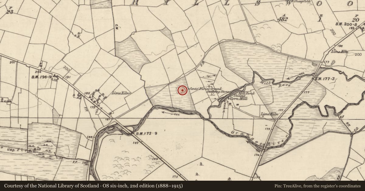 Ordnance Survey six-inch map, 2nd edition (1888–1915) covering the location of Children's burial ground, Hillswood East, County Galway, with a pin at the register's coordinates