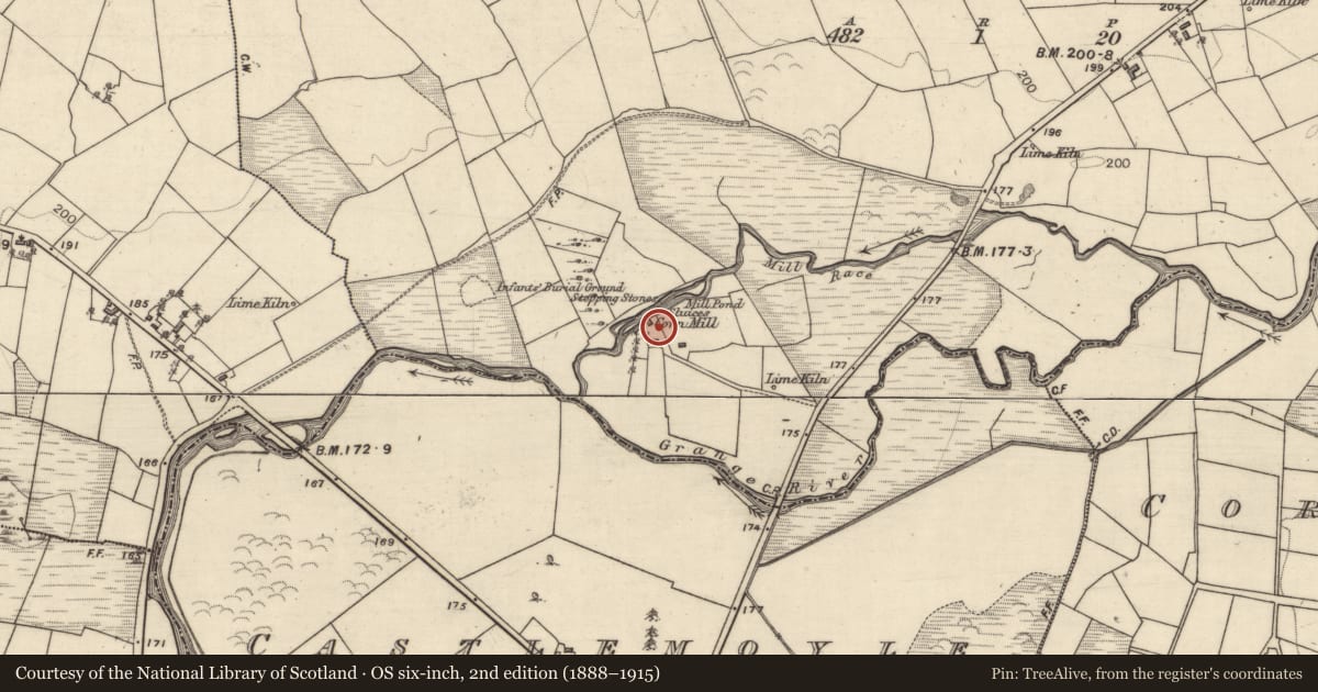 Ordnance Survey six-inch map, 2nd edition (1888–1915) covering the location of Mill - unclassified, Hillswood East, County Galway, with a pin at the register's coordinates