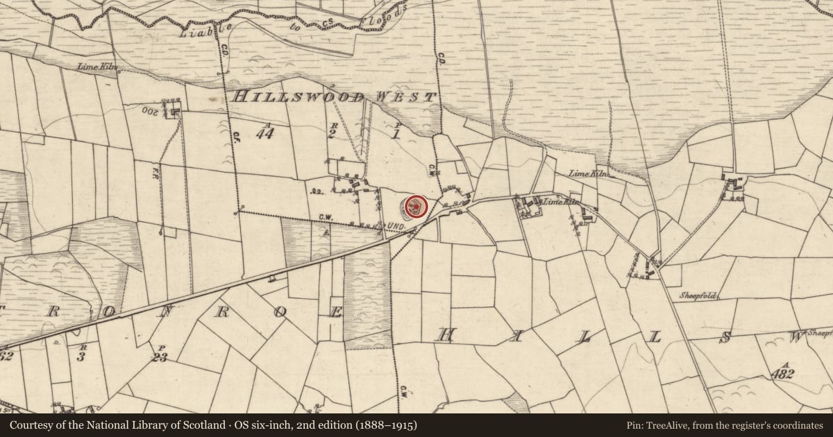 Ordnance Survey six-inch map, 2nd edition (1888–1915) covering the location of Enclosure, Hillswood West, County Galway, with a pin at the register's coordinates