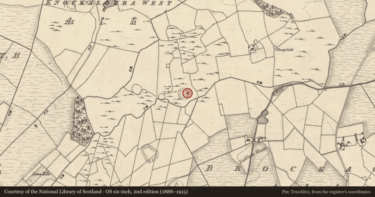 Ordnance Survey six-inch map, 2nd edition (1888–1915) covering the location of Souterrain, Knockaloura East, County Galway, with a pin at the register's coordinates