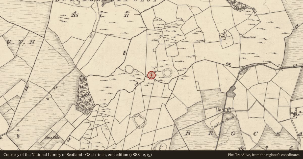 Ordnance Survey six-inch map, 2nd edition (1888–1915) covering the location of Ringfort - cashel, Cartron (Carrowrevagh ED ), Knockaloura East, County Galway, with a pin at the register's coordinates