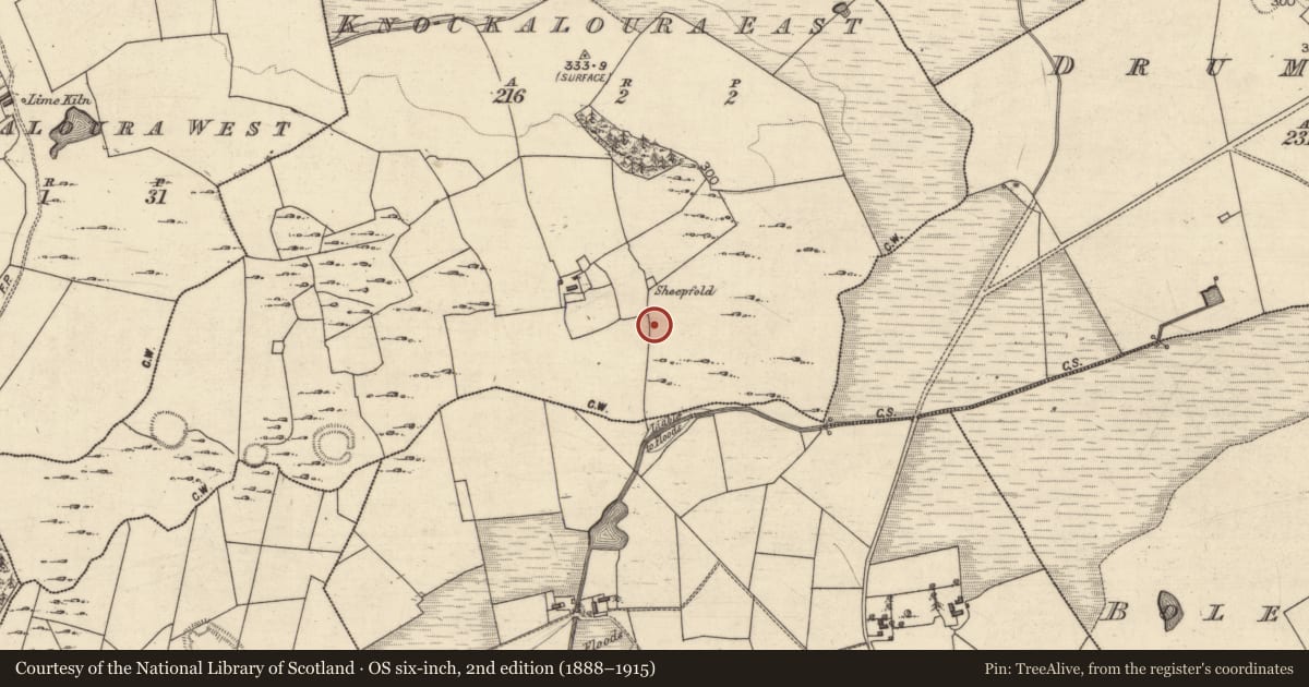 Ordnance Survey six-inch map, 2nd edition (1888–1915) covering the location of Enclosure, Knockaloura East, County Galway, with a pin at the register's coordinates