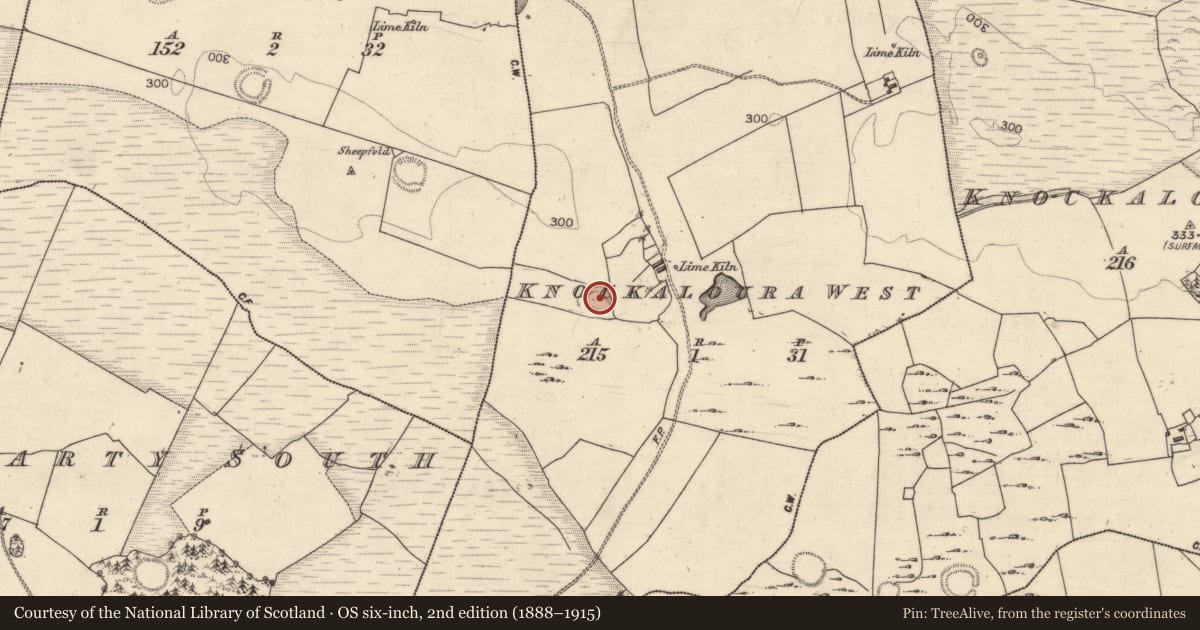 Ordnance Survey six-inch map, 2nd edition (1888–1915) covering the location of Ringfort - rath, Knockaloura West, County Galway, with a pin at the register's coordinates