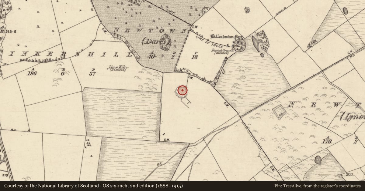 Ordnance Survey six-inch map, 2nd edition (1888–1915) covering the location of Ringfort - rath, Knockavanny, County Galway, with a pin at the register's coordinates