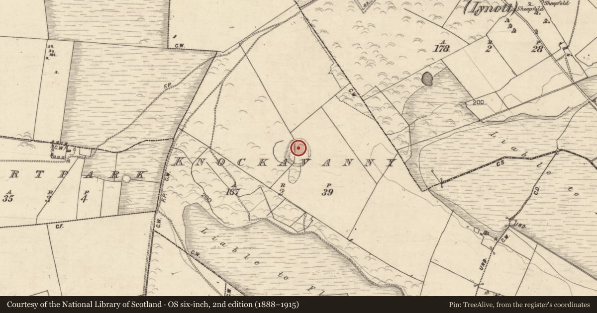 Ordnance Survey six-inch map, 2nd edition (1888–1915) covering the location of Ringfort - rath, Knockavanny, County Galway, with a pin at the register's coordinates