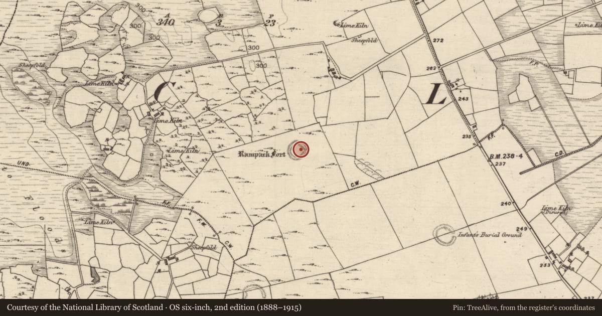 Ordnance Survey six-inch map, 2nd edition (1888–1915) covering the location of Ringfort - rath, Lomaunaghbaun, County Galway, with a pin at the register's coordinates