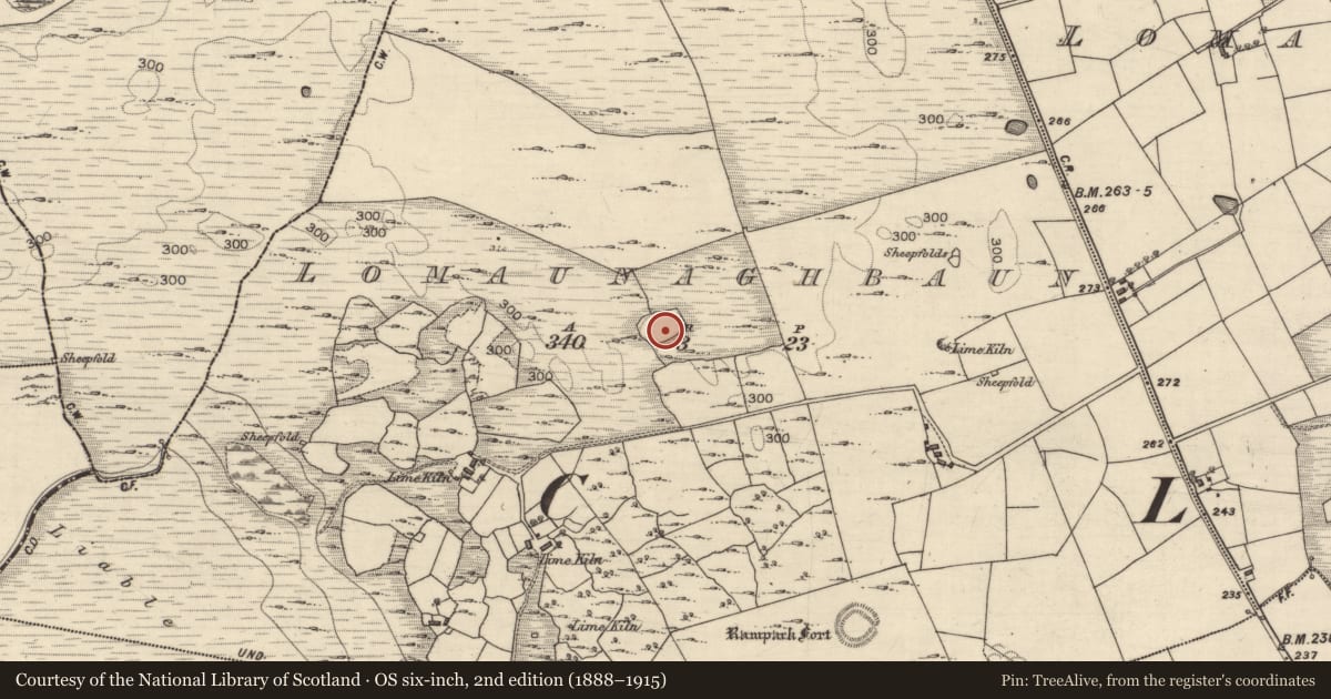 Ordnance Survey six-inch map, 2nd edition (1888–1915) covering the location of Enclosure, Lomaunaghbaun, County Galway, with a pin at the register's coordinates