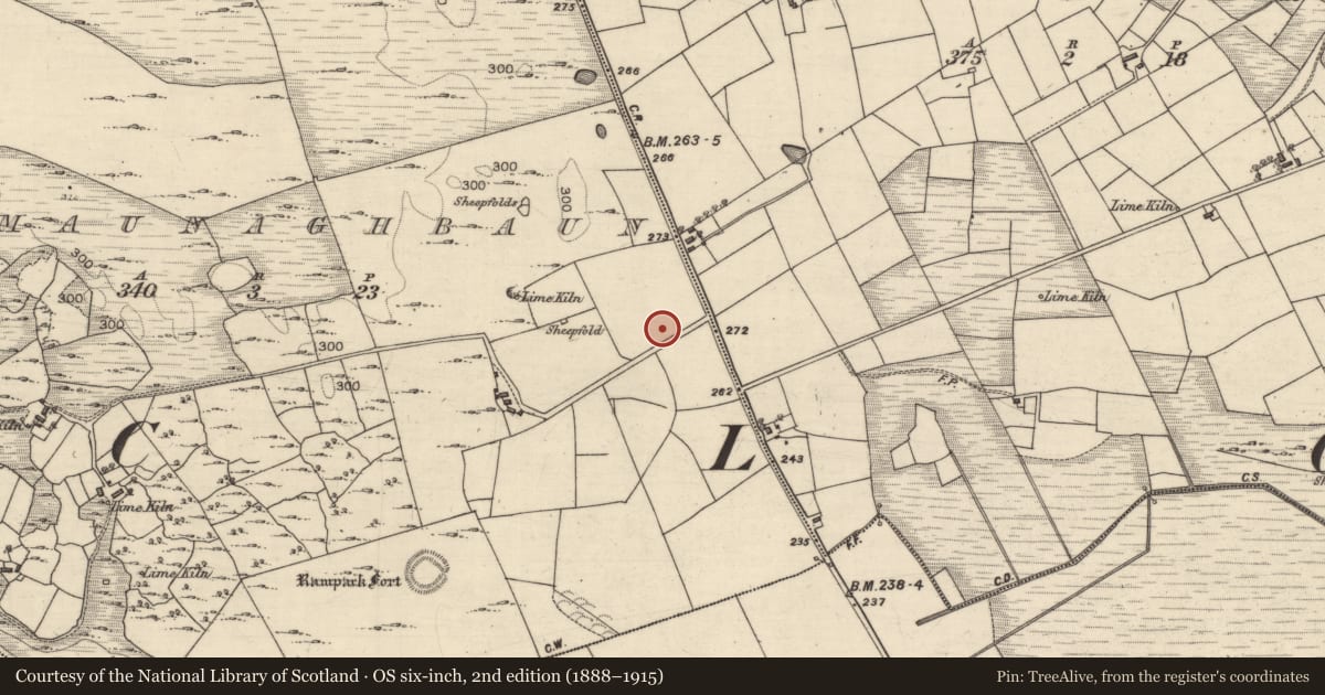 Ordnance Survey six-inch map, 2nd edition (1888–1915) covering the location of Ringfort - cashel, Lomaunaghbaun, County Galway, with a pin at the register's coordinates