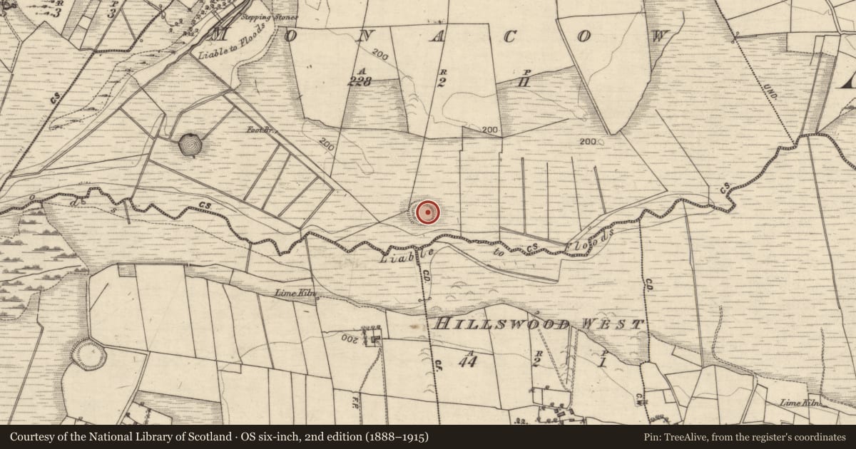 Ordnance Survey six-inch map, 2nd edition (1888–1915) covering the location of Ringfort - rath, Monacow, County Galway, with a pin at the register's coordinates