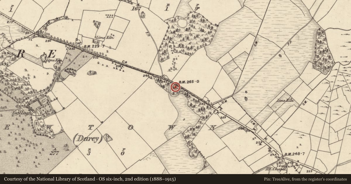 Ordnance Survey six-inch map, 2nd edition (1888–1915) covering the location of Ringfort - rath, Newtown (Darcy), County Galway, with a pin at the register's coordinates