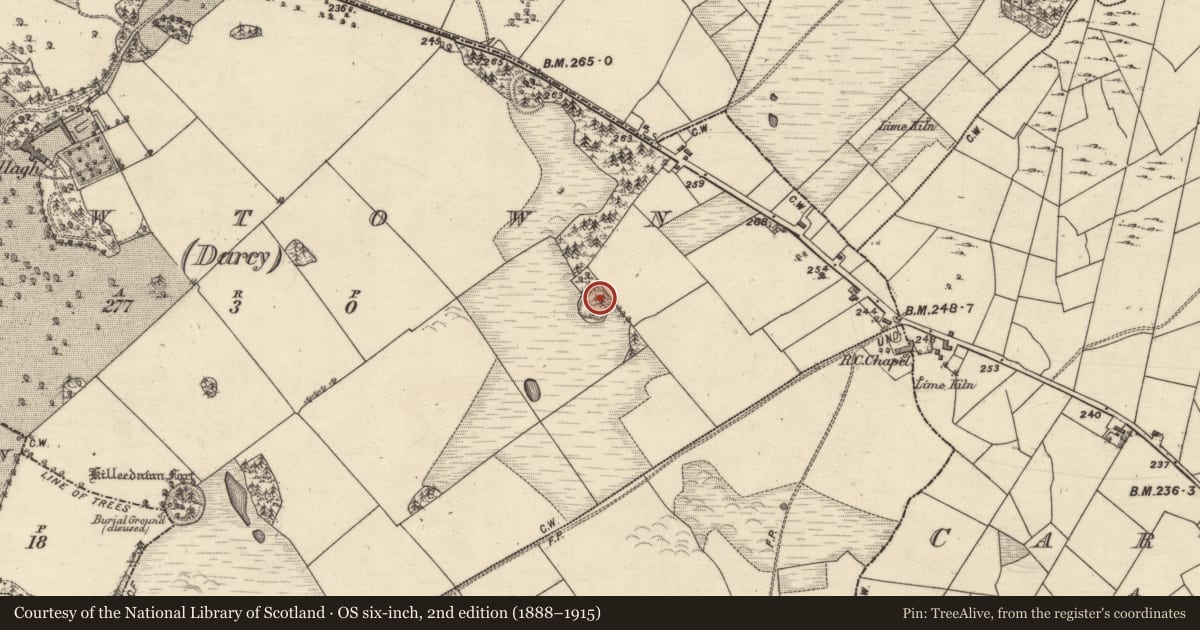 Ordnance Survey six-inch map, 2nd edition (1888–1915) covering the location of Ringfort - rath, Newtown (Darcy), County Galway, with a pin at the register's coordinates