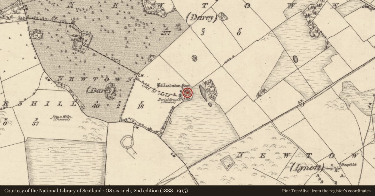 Ordnance Survey six-inch map, 2nd edition (1888–1915) covering the location of Ringfort - rath, Newtown (Darcy), County Galway, with a pin at the register's coordinates