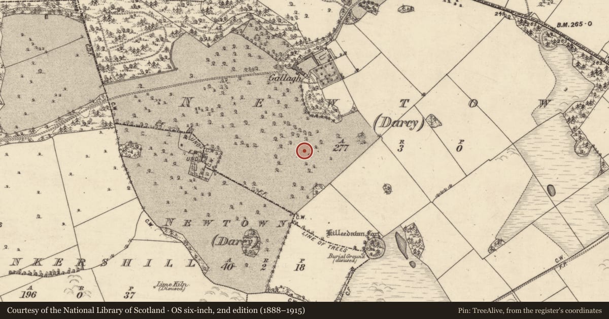 Ordnance Survey six-inch map, 2nd edition (1888–1915) covering the location of Enclosure, Newtown (Darcy), County Galway, with a pin at the register's coordinates