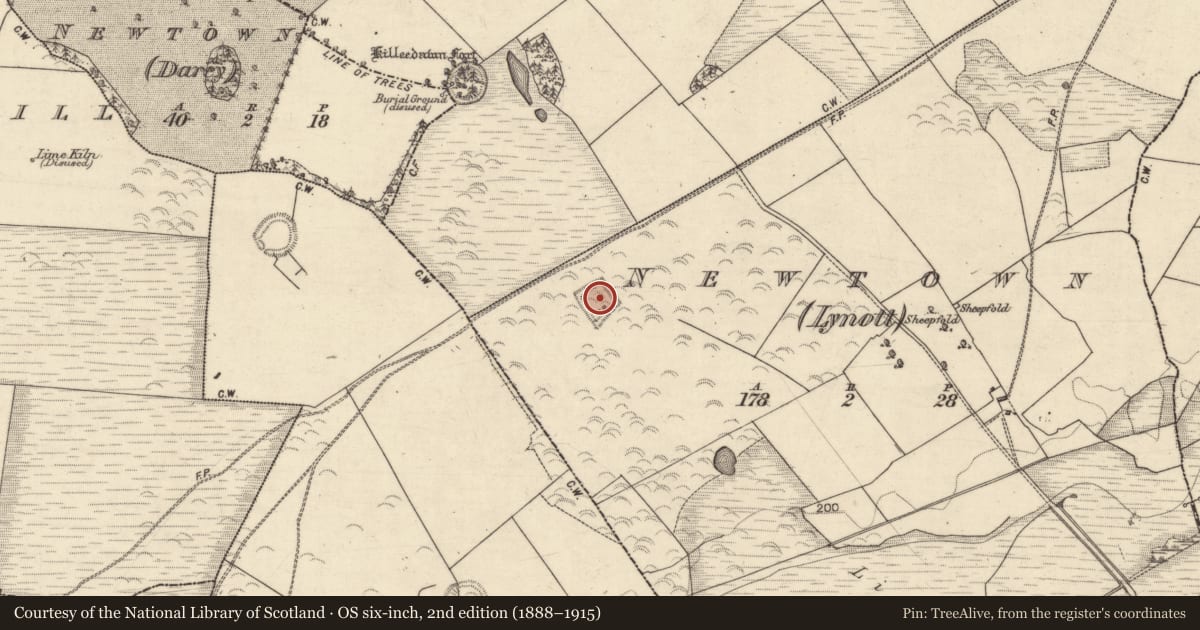 Ordnance Survey six-inch map, 2nd edition (1888–1915) covering the location of Enclosure, Newtown (Lynnott), County Galway, with a pin at the register's coordinates