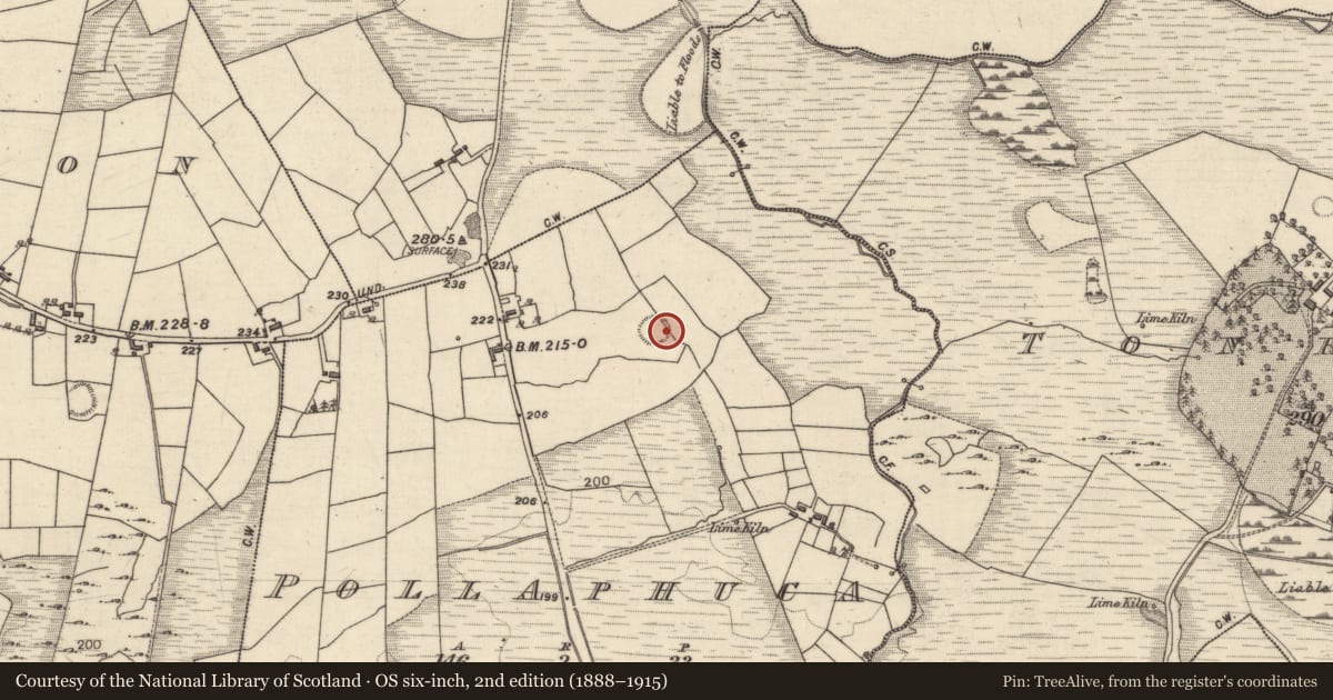 Ordnance Survey six-inch map, 2nd edition (1888–1915) covering the location of Structure, Pollaphuca (Carrowrevagh ED ), County Galway, with a pin at the register's coordinates