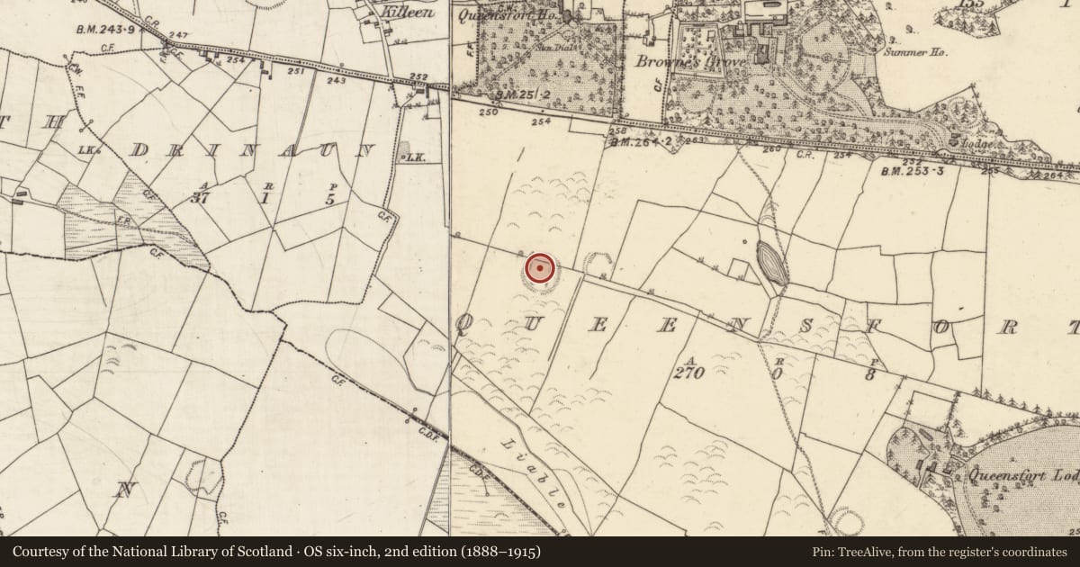 Ordnance Survey six-inch map, 2nd edition (1888–1915) covering the location of Ringfort - rath, Queensfort, County Galway, with a pin at the register's coordinates