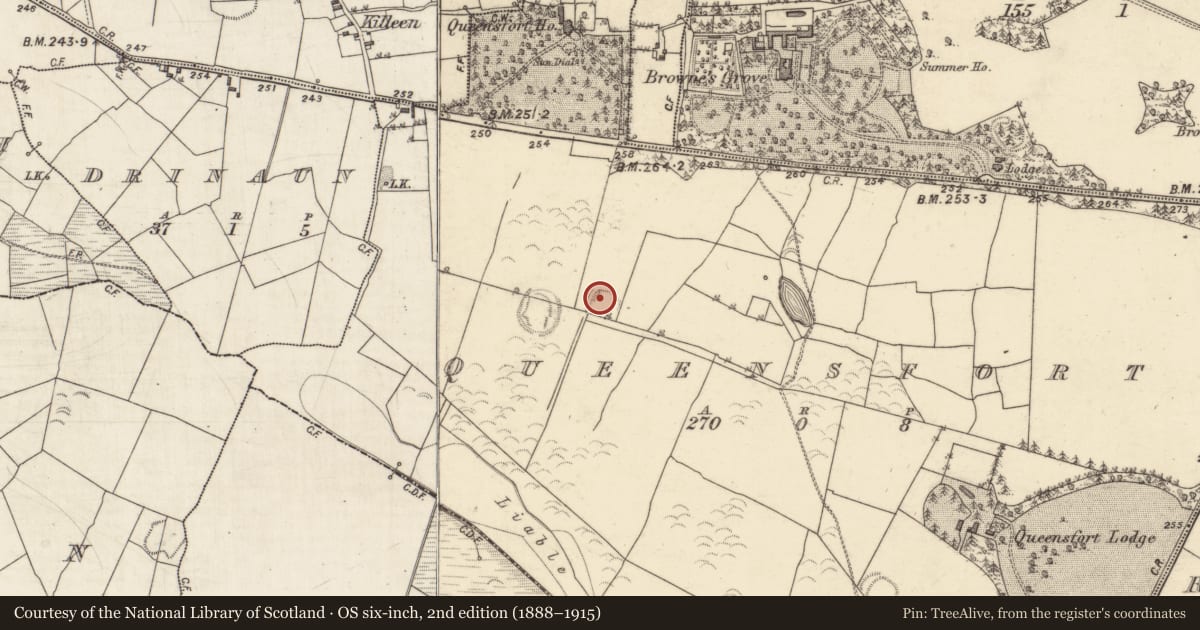 Ordnance Survey six-inch map, 2nd edition (1888–1915) covering the location of Enclosure, Queensfort, County Galway, with a pin at the register's coordinates