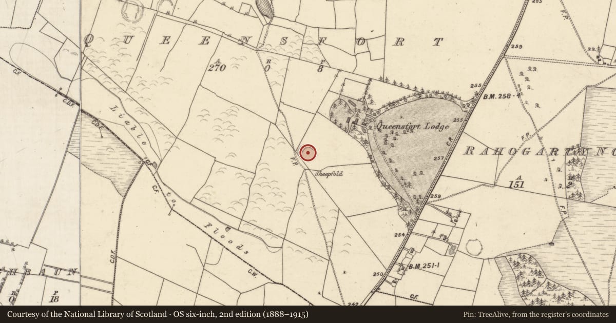 Ordnance Survey six-inch map, 2nd edition (1888–1915) covering the location of Ringfort - rath, Queensfort, County Galway, with a pin at the register's coordinates
