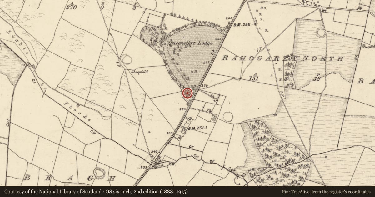 Ordnance Survey six-inch map, 2nd edition (1888–1915) covering the location of Ringfort - rath, Queensfort, County Galway, with a pin at the register's coordinates