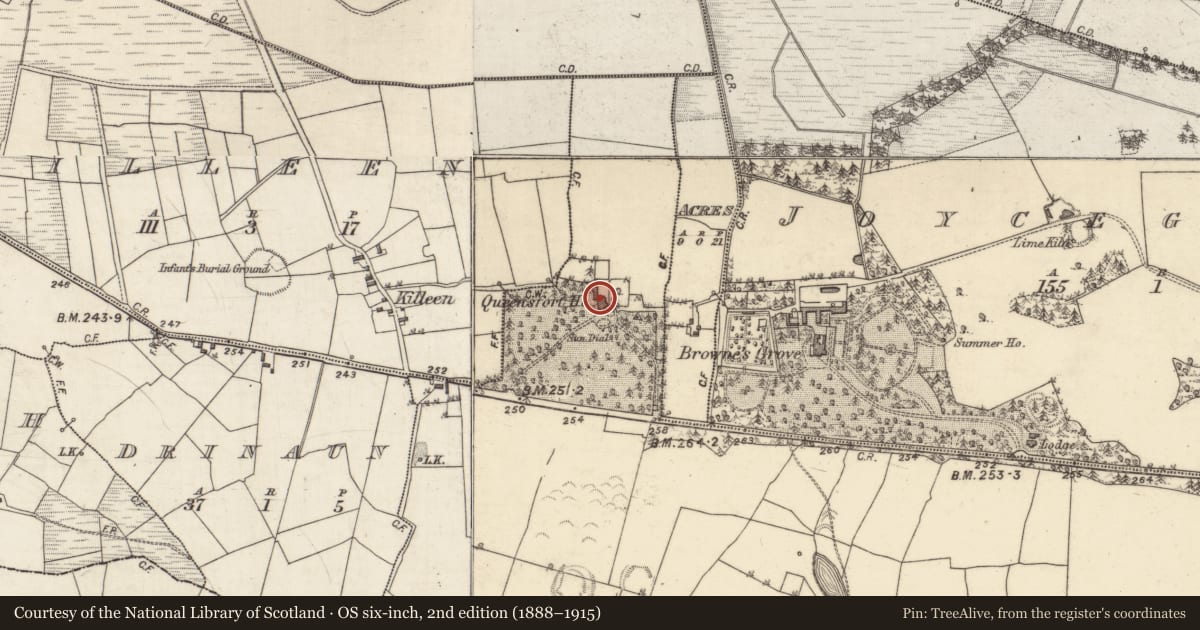 Ordnance Survey six-inch map, 2nd edition (1888–1915) covering the location of Country house, Queensfort, County Galway, with a pin at the register's coordinates