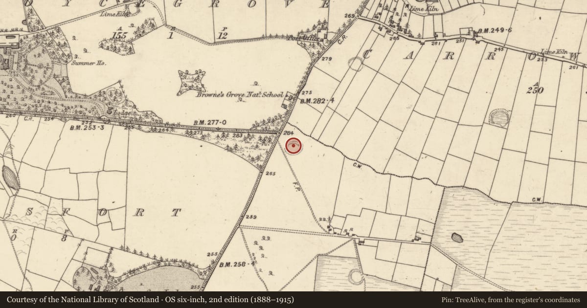 Ordnance Survey six-inch map, 2nd edition (1888–1915) covering the location of Ringfort - rath, Rahogarty North, County Galway, with a pin at the register's coordinates