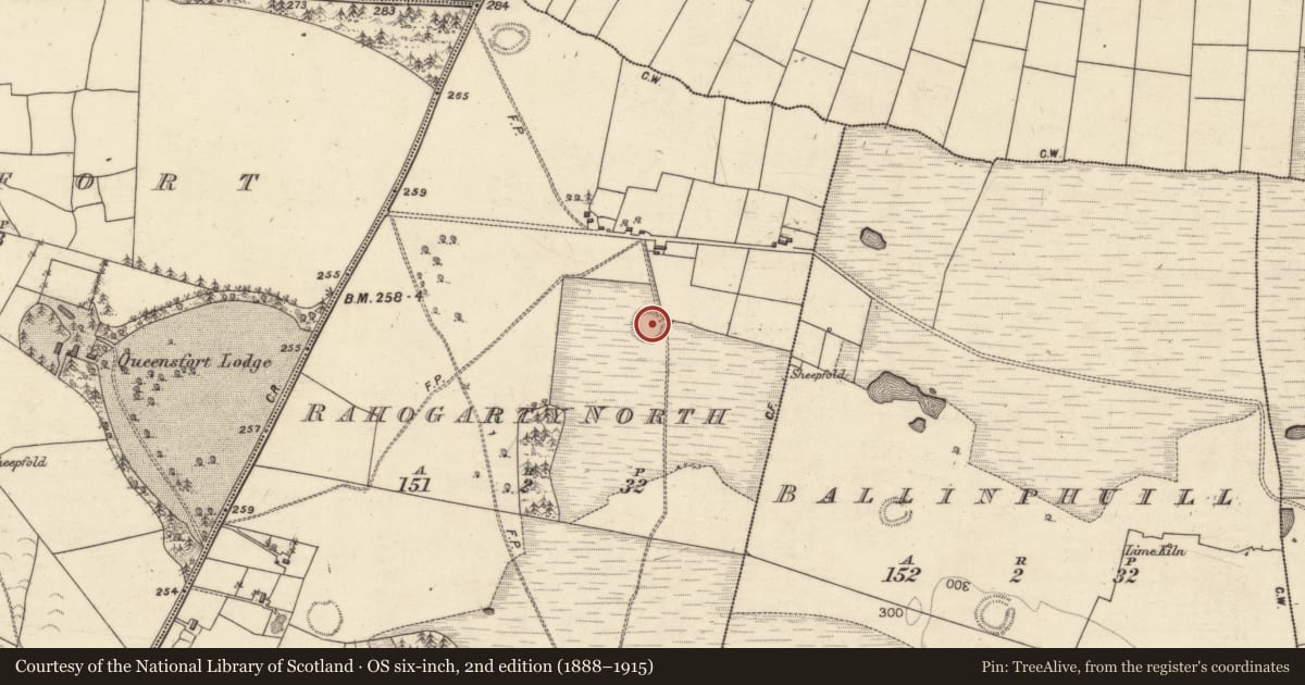 Ordnance Survey six-inch map, 2nd edition (1888–1915) covering the location of Ringfort - rath, Rahogarty North, County Galway, with a pin at the register's coordinates