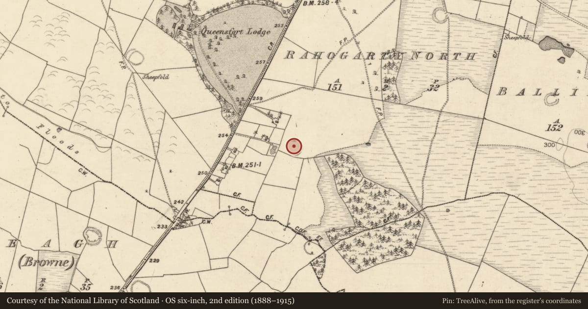 Ordnance Survey six-inch map, 2nd edition (1888–1915) covering the location of Ringfort - rath, Rahogarty North, County Galway, with a pin at the register's coordinates