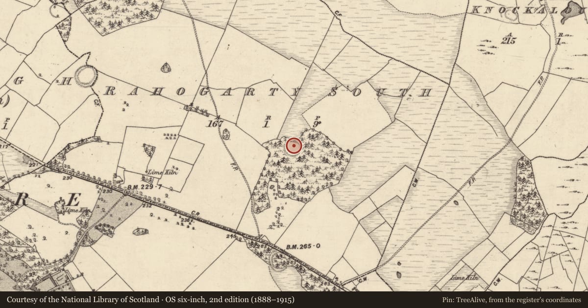 Ordnance Survey six-inch map, 2nd edition (1888–1915) covering the location of Ringfort - rath, Rahogarty South, County Galway, with a pin at the register's coordinates