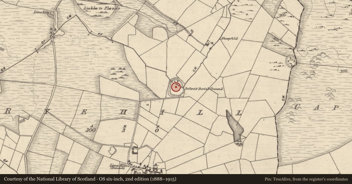 Ordnance Survey six-inch map, 2nd edition (1888–1915) covering the location of Ringfort - rath, Ryehill, Tonrevagh, County Galway, with a pin at the register's coordinates