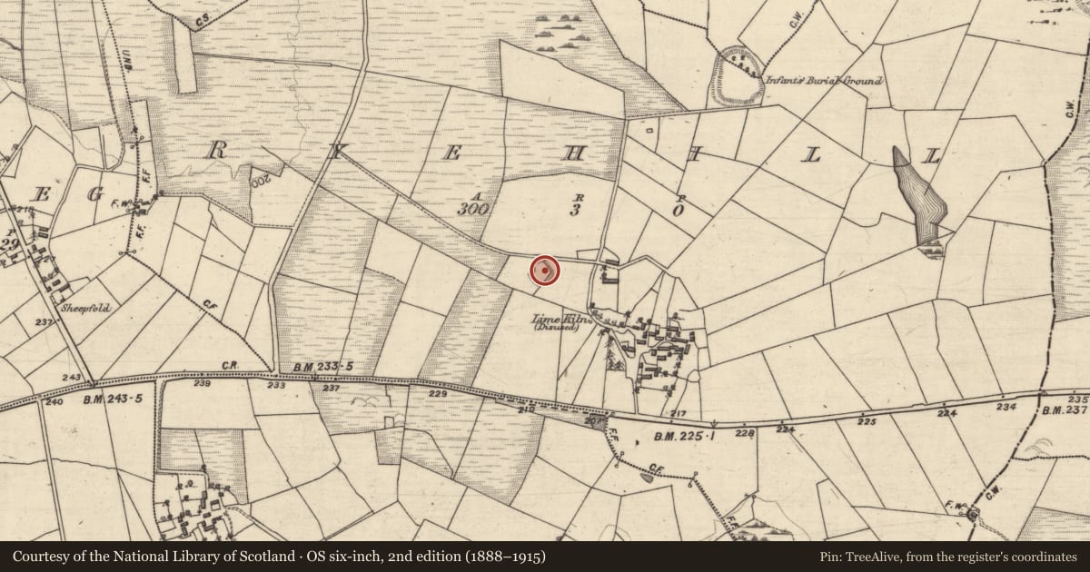 Ordnance Survey six-inch map, 2nd edition (1888–1915) covering the location of Ringfort - rath, Ryehill, County Galway, with a pin at the register's coordinates